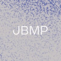 JBMP Social Impact Partners logo - Similar company to Jbmpm