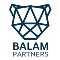 Balam Partners logo - Similar company to Balam Group