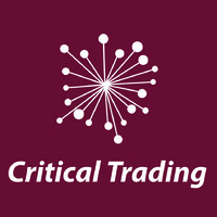 Critical Trading, LLC logo - Similar company to Decision Science