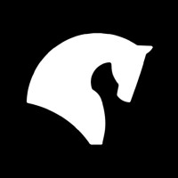 BlackHorse logo - Similar company to Dbk Sas