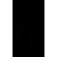 1ZZP logo - Similar company to Jambo Media
