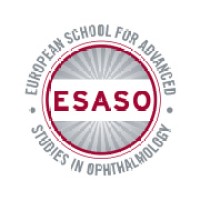 ESASO logo - Similar company to LAB121 Coworking