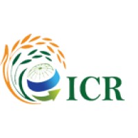 International Rice Trade Centre and Export Terminal logo - Similar company to Arayli Export-Import