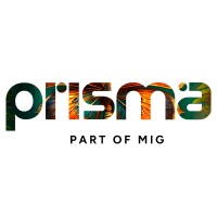 MIG Prisma logo - Similar company to Grupo Interés