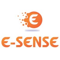 E-Sense Inc. logo - Similar company to Team Vault