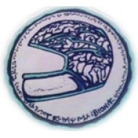 Bionik Group logo - Similar company to Bionic Group