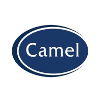 Camel Glass & Joinery Ltd (Camel Group) logo - Similar company to Sevenday Windows