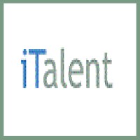 iTalent | Strategy, Sourcing, Security & Governance professionals logo - Similar company to Ics