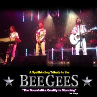 Jive Talkin' perform The Bee Gees logo - Similar company to Tiger Drum Limited