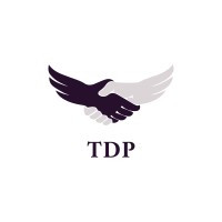 The Digital Phenix (TDP) logo - Similar company to Digital Boost Agency