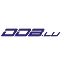 DDB SA logo - Similar company to David Tp
