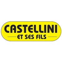 Castellini Et Ses Fils logo - Similar company to Actea Groupe Immo