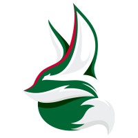 Digital Fennec logo - Similar company to Boost It Tech