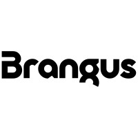 Brangus Leather logo - Similar company to Brangus It