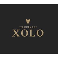 Xolo vino logo - Similar company to Apollo Seiko Integration Services