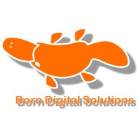 Born Digital Solutions logo - Similar company to Immodigi Ag