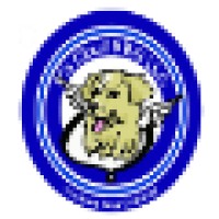 V'S Cloud 9 K-9 Llc