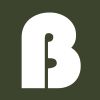 BrightPulse Marketing logo - Similar company to Alphagraphics Charleston