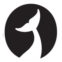 Nova Books Agency logo - Similar company to Mint Books