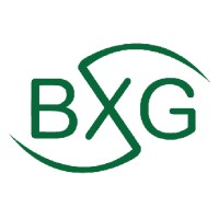 BXG Systems logo - Similar company to Tungsten Construction