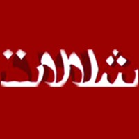Shalalat Architects logo - Similar company to Raum Studio