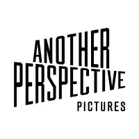 Another Perspective Pictures logo - Similar company to Nv Academy