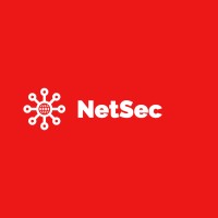NetSec logo - Similar company to Lunia 3D 🏴󠁧󠁢󠁷󠁬󠁳󠁿