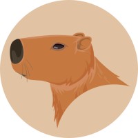 Myduo.ai logo - Similar company to Avanzando