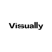 VISSUALLY logo - Similar company to Bolsemack