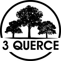 3 Querce S.R.L. logo - Similar company to Yes Professional Srl