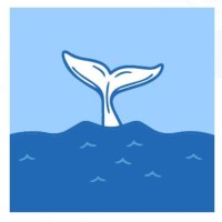Diaries of the Ocean logo - Similar company to Project Manaia