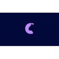 Curiosity Camp logo - Similar company to Seine - Casting A Wide Net For Talent