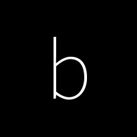 BrainaBolics logo - Similar company to Realai.Dev