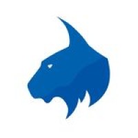 bluelynx.qa logo - Similar company to Microsys Communication - Qatar