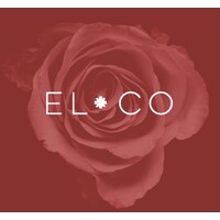 Elanae Consulting, Llc