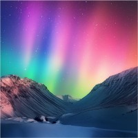 Co-Founders Nordic logo - Similar company to Allyy