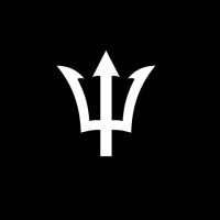 Trident Automotive Corporation