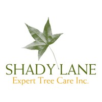 Shady Lane Expert Tree Care logo - Similar company to A-1 Tree Services & Landscaping