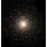 Stardust Group Llc