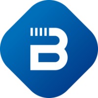 Bluevisor Systems logo - Similar company to Sderi
