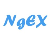 NGEX logo - Similar company to Afro Benji