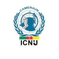 Institut Camerounais pour les Nations Unies logo - Similar company to Raise-Up Cameroon