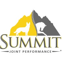 Summit Joint Performance logo - Similar company to Home Instead - Sutton Coldfield