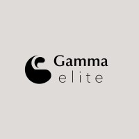 Gamma Elite SRL logo - Similar company to Ab Loukia Consulting