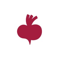 Beetroot Academy Kosovo logo - Similar company to Smart Developers