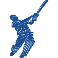 CricMatch AI logo - Similar company to Bizarrely
