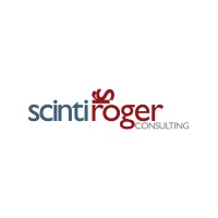 Scinti Roger consulting Srl logo - Similar company to Kupuntonove
