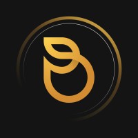 Digital Bless Agência logo - Similar company to Nigma