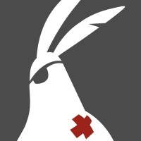 brave rabbit logo - Similar company to Scoby Analytics