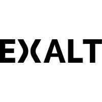 Exalt Data & Strategic Advisory logo - Similar company to Yiit